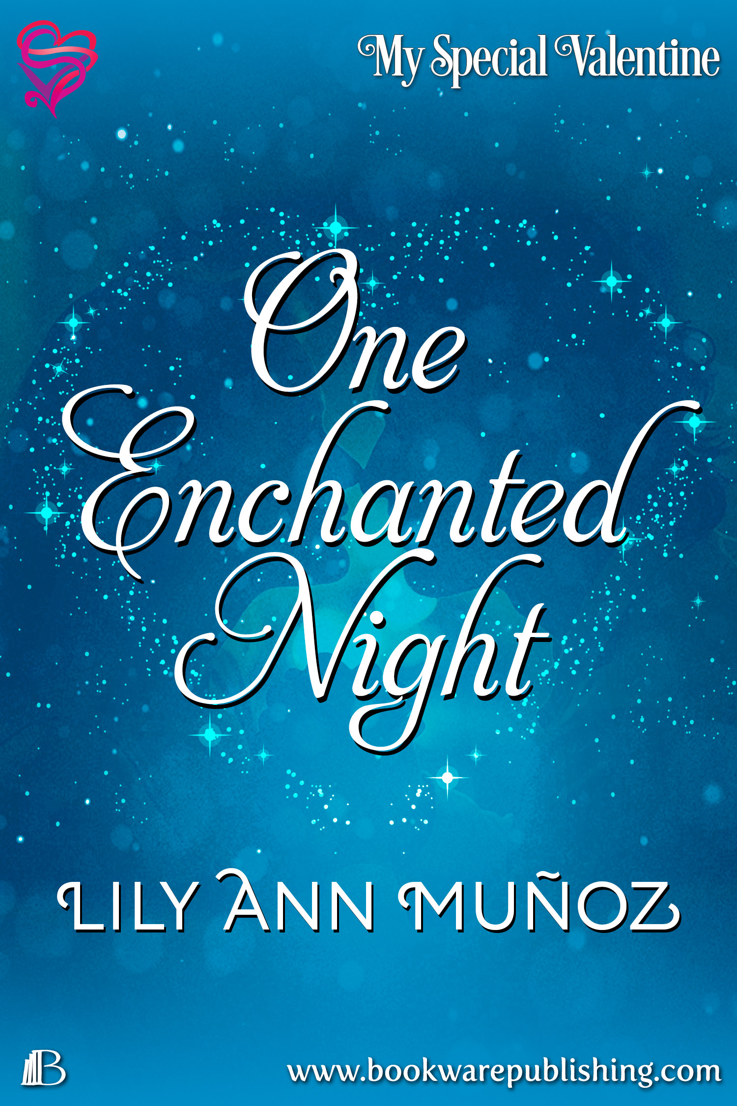 One Enchanted Night